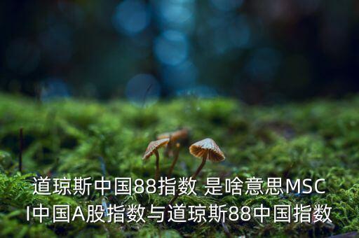 88開頭的股票是什么股，88打頭的股票代碼是那個(gè)交易所