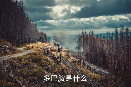 云藥是什么，rarely是什么意思