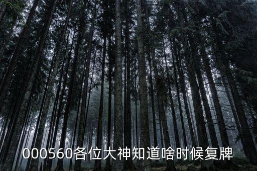 棟梁新材什么時候復(fù)牌，000560各位大神知道啥時候復(fù)牌
