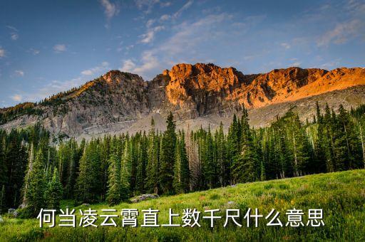 直上云霄什么意思，直插云霄的意思是什么
