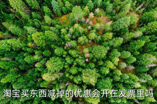 網(wǎng)店為什么貨票不同行，為什么網(wǎng)店賣的東西不能和發(fā)票一同送來