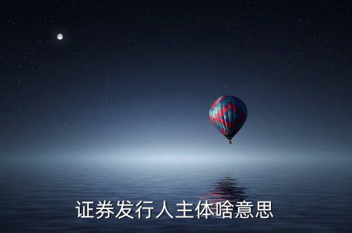 什么是股票發(fā)行人，發(fā)行人的概念是什么
