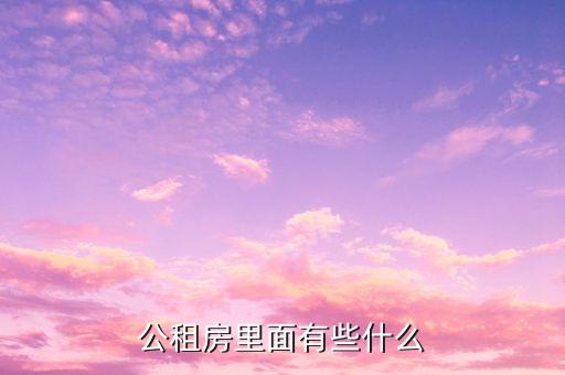 北京公租房里面有什么，北京公租房