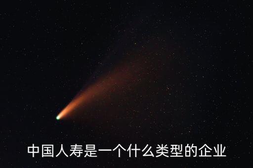 中國(guó)人壽是一個(gè)什么類(lèi)型的企業(yè)
