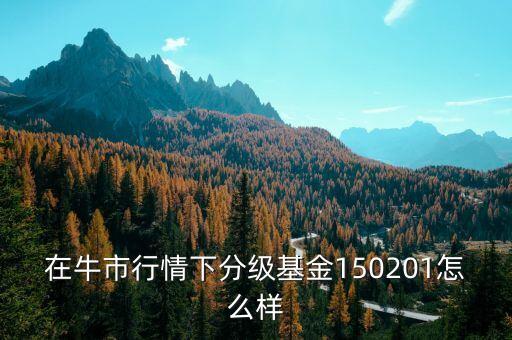 150201基金是什么杠桿，在牛市行情下分級(jí)基金150201怎么樣