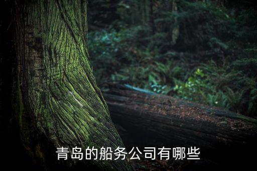 青島有個(gè)什么船運(yùn)走私，青島的船務(wù)公司有哪些