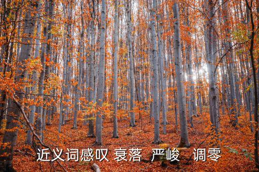 調(diào)零的近義詞是什么，近義詞感嘆 衰落  嚴(yán)峻   調(diào)零