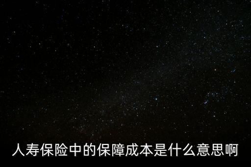 什么是保險(xiǎn)公司的保證成本，保險(xiǎn)中的保障成本是什么意思