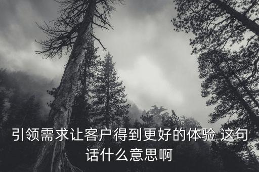 什么是引領(lǐng)需求，引領(lǐng)需求讓客戶得到更好的體驗(yàn) 這句話什么意思啊