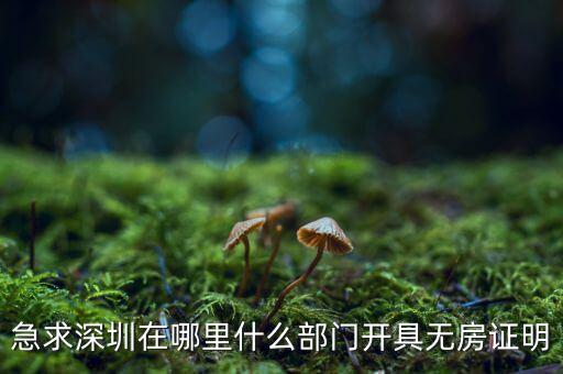 坪山國土局在什么地方，深圳哪座山比較有趣