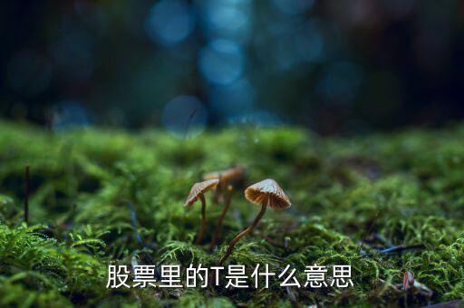 股票收t什么意思，股票中的做T是什么意思謝謝求答案