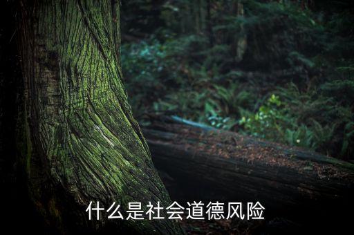 什么是社會風險，什么是社會道德風險