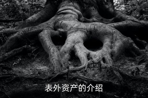 什么是表外資金，表外資產(chǎn)的介紹
