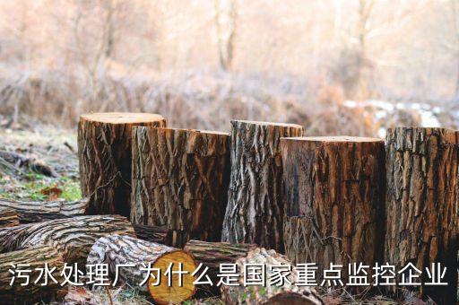 重點(diǎn)監(jiān)控企業(yè)為什么，稅務(wù)局來(lái)電要我們公處理重點(diǎn)監(jiān)控是什么意思