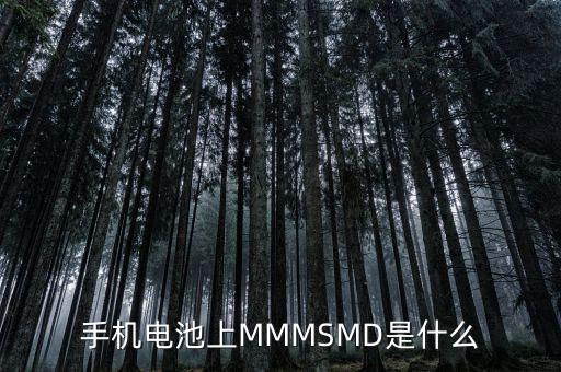 什么是電力儲(chǔ)能，手機(jī)電池上MMMSMD是什么