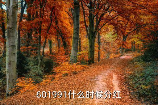 西泵股份什么時候分紅，西泵公司何時上市