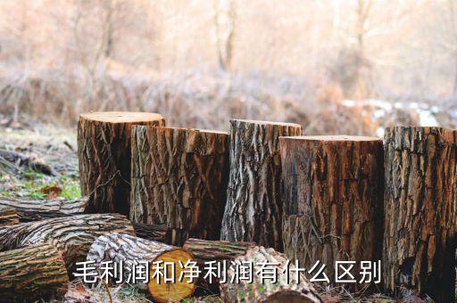 毛利潤(rùn)要減去什么才是凈利潤(rùn)，請(qǐng)問(wèn)經(jīng)濟(jì) 利潤(rùn) 和 凈利潤(rùn) 有什么區(qū)別呢比如 一件衣服進(jìn)價(jià)60元