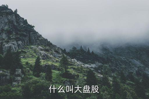 大盤股是什么意思，什么是大盤股
