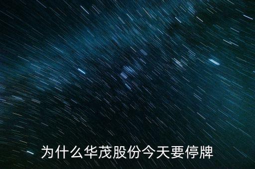 600366今日為什么停牌，600636為什么會停牌