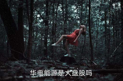 華電能源是什么公司，內(nèi)蒙華電 屬于五大電力集團的哪一家