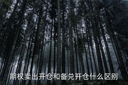 個(gè)股期權(quán)賣出開(kāi)倉(cāng)什么意思，賣出開(kāi)倉(cāng)是咋意思