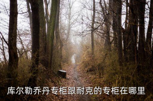 庫爾勒匯嘉有什么品牌，庫爾勒的匯嘉有沒有ZA化妝品專柜