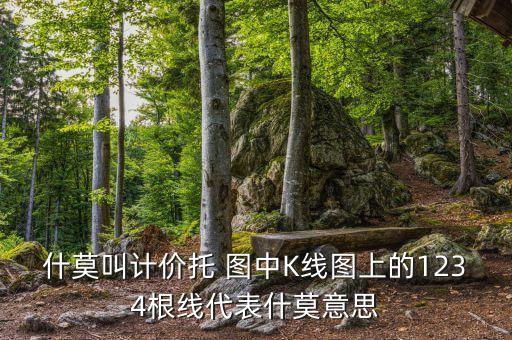 k線上有1234的指標(biāo)是什么么，什莫叫計價托 圖中K線圖上的1234根線代表什莫意思