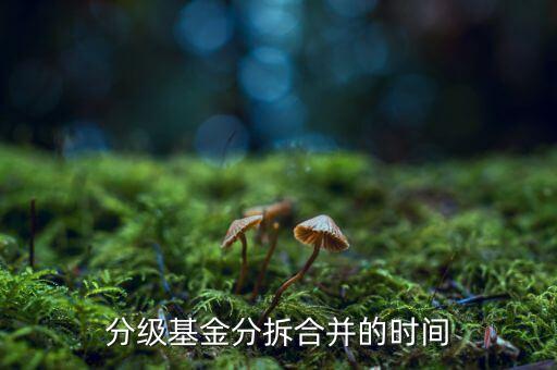 基金什么時(shí)候拆分，基金一般在什么時(shí)候拆分或分紅