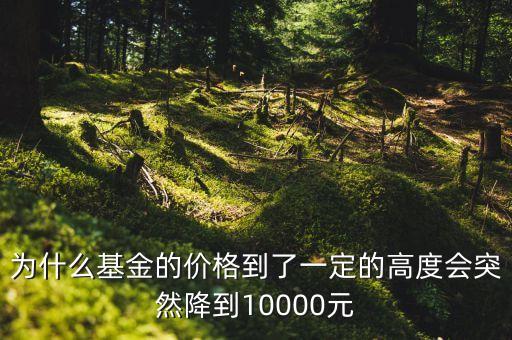 為什么基金的價格到了一定的高度會突然降到10000元