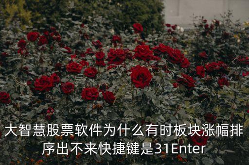 板塊排不按什么鍵，大智慧股票軟件為什么有時板塊漲幅排序出不來快捷鍵是31Enter
