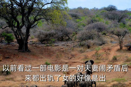 候永財執(zhí)導(dǎo)過什么電影，以前看過一部電影是一對夫妻鬧矛盾后來都出軌了女的好像是出