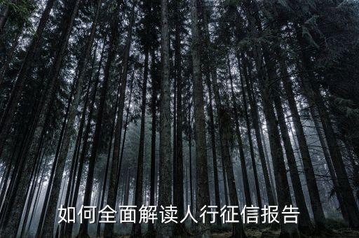 人行報告是什么意思，人民銀行的征信報告有什么作用和意義
