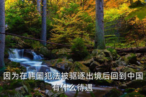 在國(guó)外犯罪逃回國(guó)有什么后果，逃犯持外國(guó)護(hù)照回國(guó)會(huì)怎樣