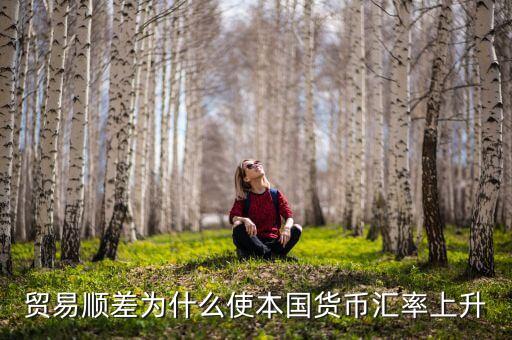 為什么貿(mào)易順差會(huì)導(dǎo)致匯率上漲，貿(mào)易順差為什么使本國(guó)貨幣匯率上升