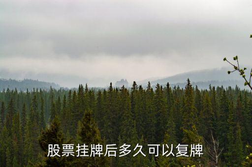上汽集團(tuán)股票什么時(shí)候復(fù)牌，600303什么時(shí)間復(fù)牌