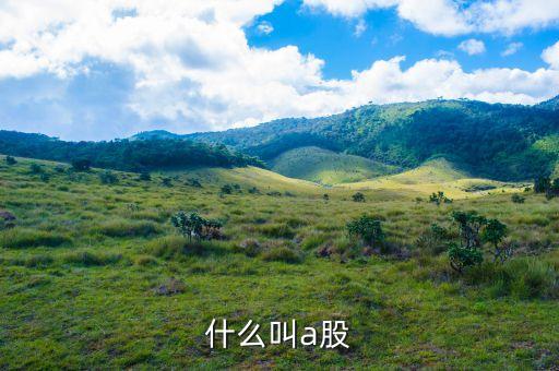 什么是a股上市公司，A股上市是什么意思 中國人保A股上