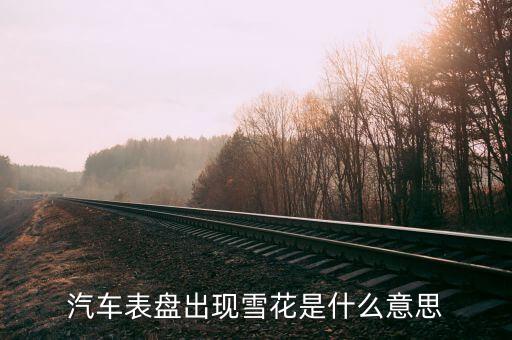 汽車表盤(pán)出現(xiàn)雪花是什么意思