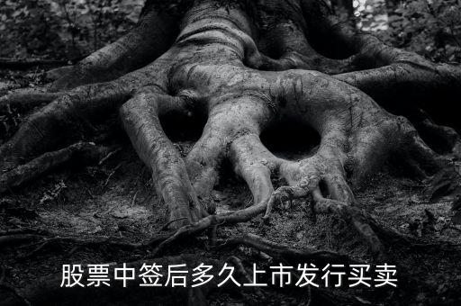 300512什么時(shí)候上市交易，股票中簽后多久上市發(fā)行買賣