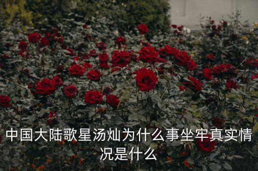 湯燦為什么要當情婦，誰知道湯燦怎么了