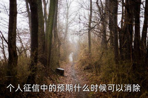 中國正信什么時候分紅，個人征信中的預(yù)期什么時候可以消除