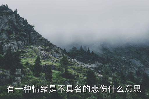 不愿具名是什么意思，有一種情緒是不具名的悲傷什么意思