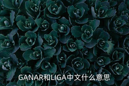 人民幣勝什么意思，韓版惡作劇之吻高中畢業(yè)勝祖跟哈妮照相時(shí)勝祖說的錢是什么意