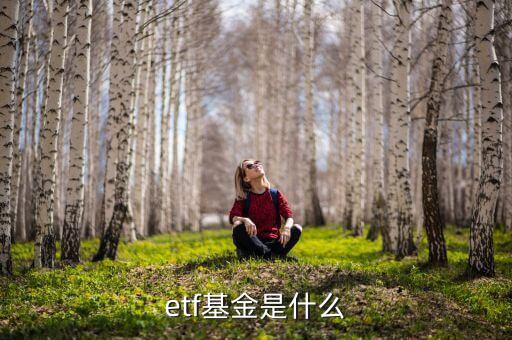 etf是什么類型的基金，ETF是什么