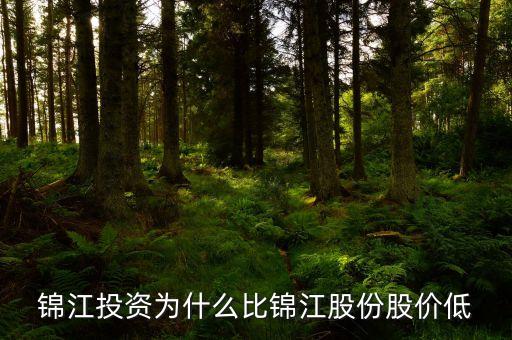 錦江投資和錦江股份什么關系，錦江投資為什么比錦江股份股價低
