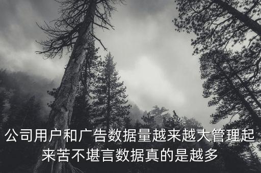 公司用戶和廣告數據量越來越大管理起來苦不堪言數據真的是越多