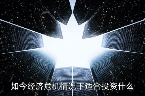 如今經濟危機情況下適合投資什么