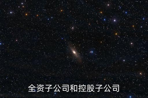 全資控股子公司是什么意思，全資子公司是怎么意思啊