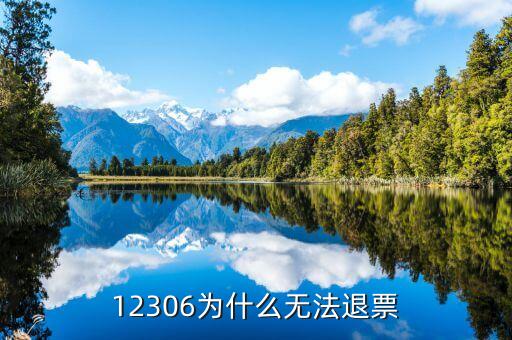 鐵路網(wǎng)為什么不能退票，12306為什么無法退票