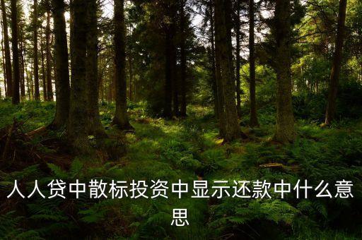 散標(biāo)是什么意思，散標(biāo)是什么