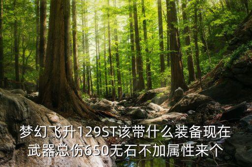 129st要什么裝備，夢(mèng)幻飛升129ST該帶什么裝備現(xiàn)在武器總傷650無石不加屬性來個(gè)